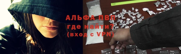 скорость Ладушкин