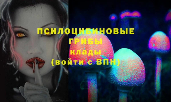 синтетический гашиш Лабытнанги