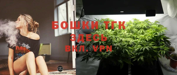 скорость Ладушкин